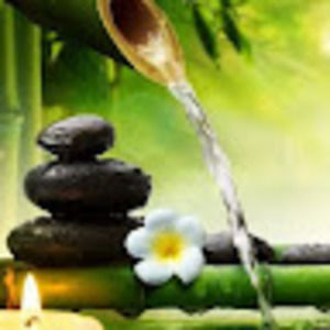 Meet your Posher, Marite aguas